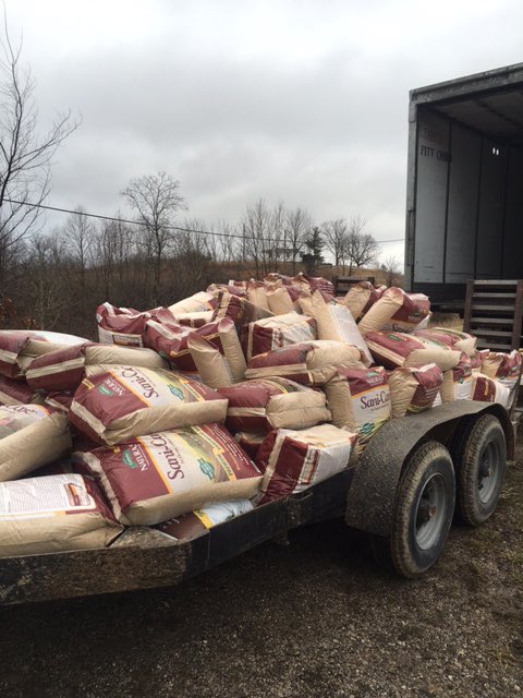 EspomaNaturals's tweet photo. So happy @BellaRunEquine got their Sani-Care bedding for their rescue horses! #sanicare #bellarunequine #espoma https://t.co/PTherOn4TN