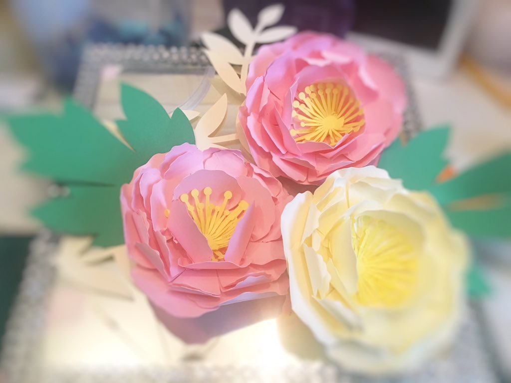 BagsofFavours's tweet image. Paper flowers and more party styling items at bagsoffavours.etsy.com #handmadehour #MidlandsHour #northwesthour