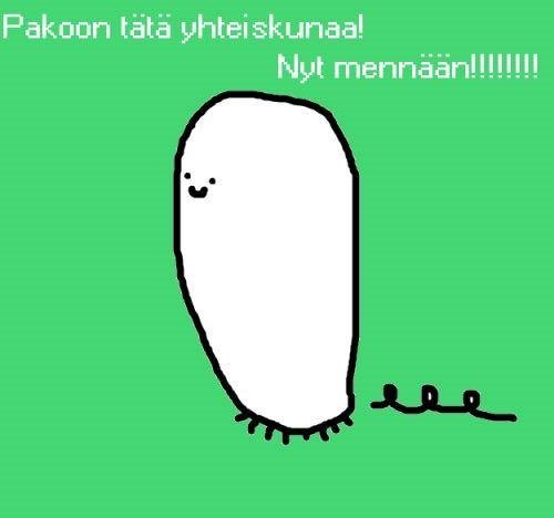 lottakerttuli's tweet photo. Atm fiilikset. https://t.co/nYGc7F8z2E