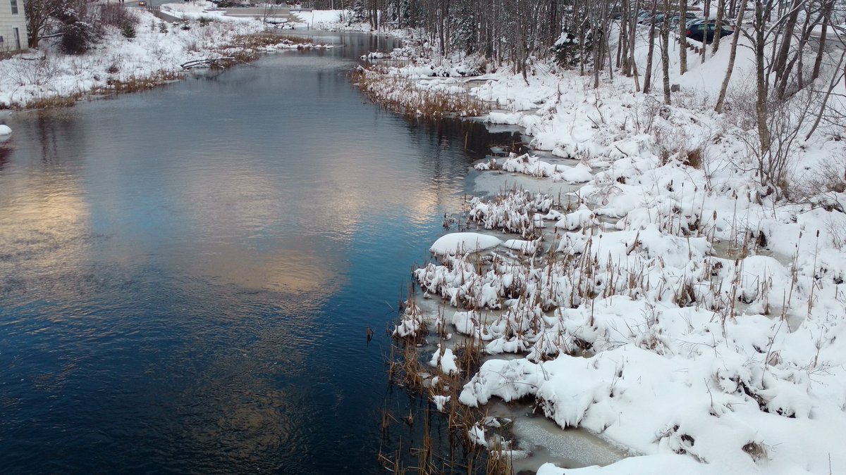 SoloExplore's tweet photo. Wintery Stream #McIntoshRun @hfxnovascotia https://t.co/mES6XMyOCA
