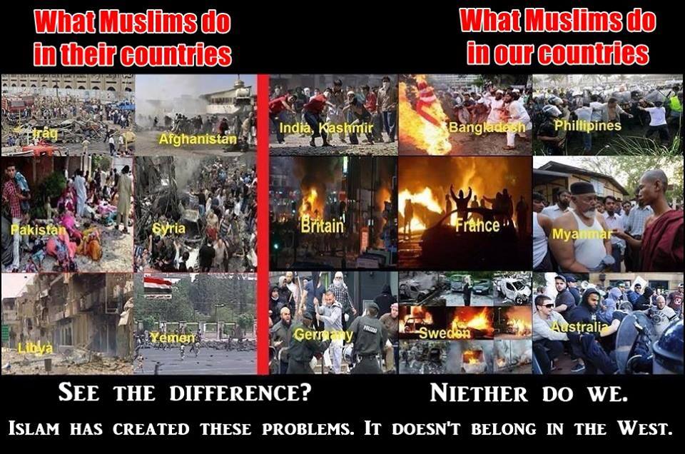 billybrown881's tweet photo. ♦@AmyMek @sheilaaj #Merkel #LegsUp #PantsDown #EZBooty #Rapeugees #islamistheproblem https://t.co/vBBXbxu0bR