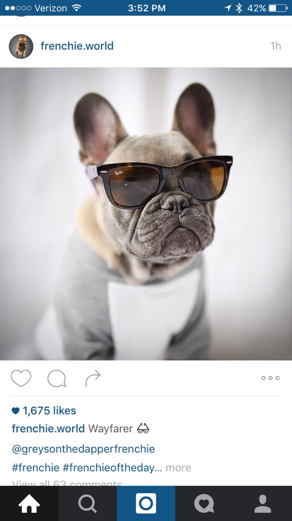 Miranda_Murphyy's tweet photo. I need one π #FrenchieGoals https://t.co/RZ0I8wsoJ2