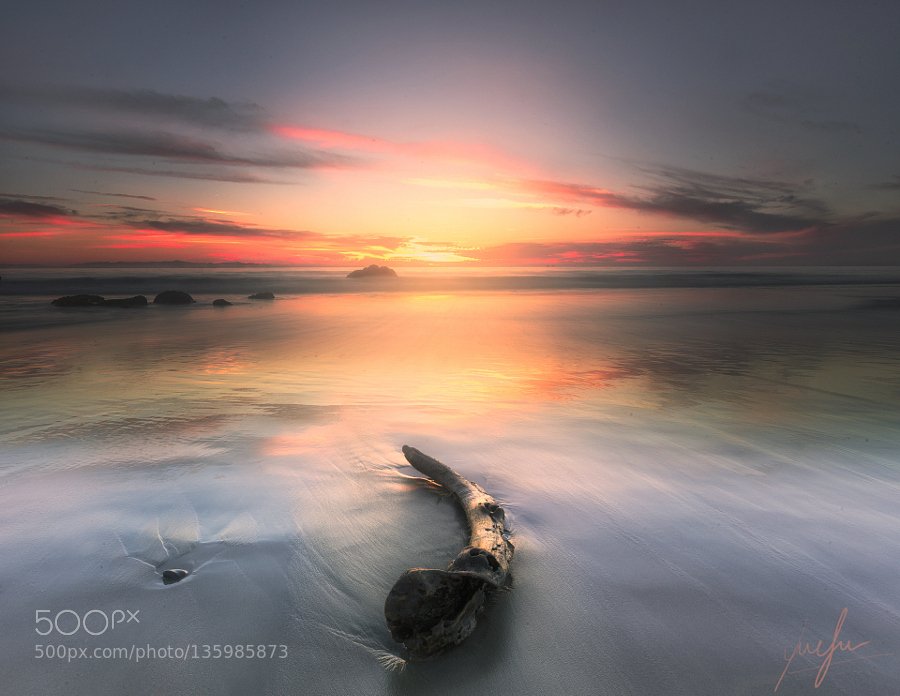 The Old Reborn Two Log by rusphotostudio #photo