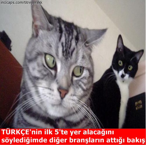 #TürkçemSevgiDili5000KontenjanVerilmeli <a href="/Yusuf__Tekin/">Yusuf Tekin</a> @hmzaydg .