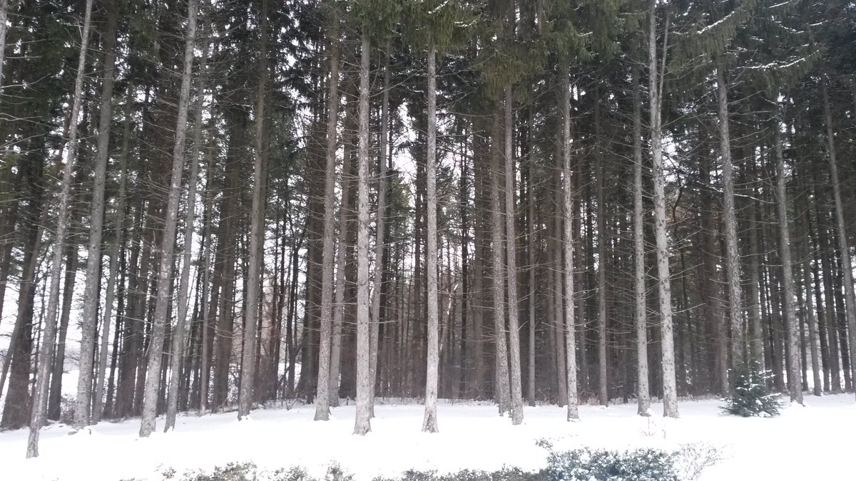 It's so pretty here when it snows.