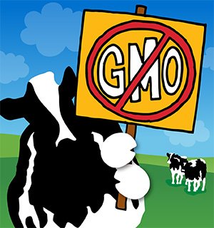 LetsLabelGMOs's tweet photo. @benandjerrys is #NonGMO!  #LetsLabelGMOs https://t.co/Mt4toJutkS