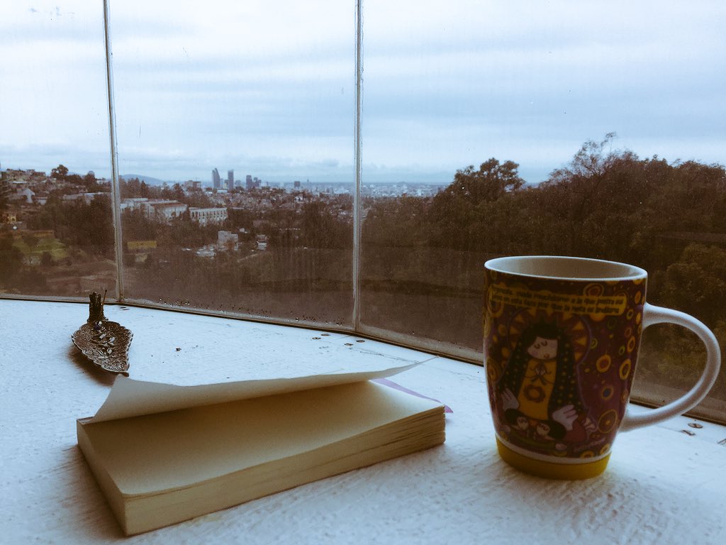 cecigaga22's tweet photo. #ElPrimerLibro del año terminado ✔️ #MeGustaLeer #Book #Lee https://t.co/hNTNQR70Fk