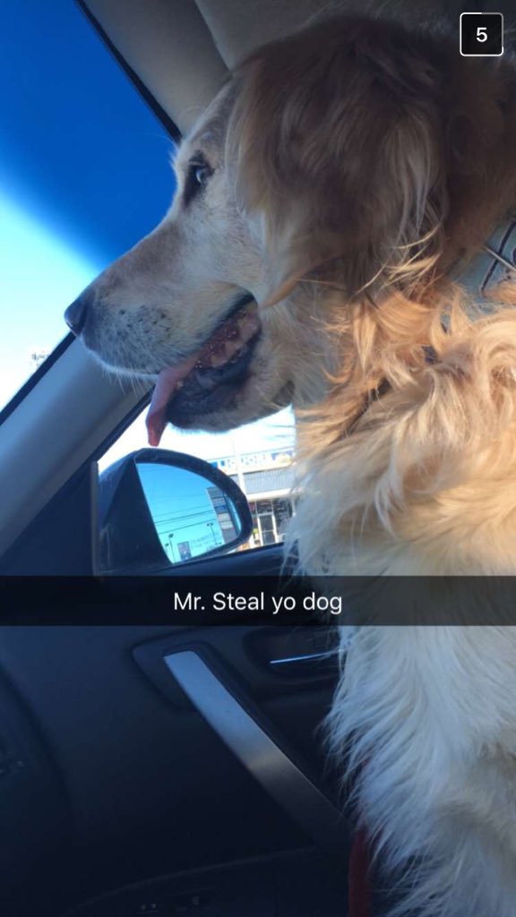 mmcliney's tweet photo. Joe took my dog Mac to work today lol @ab0veaverageJoe https://t.co/EMkyAdgF2V