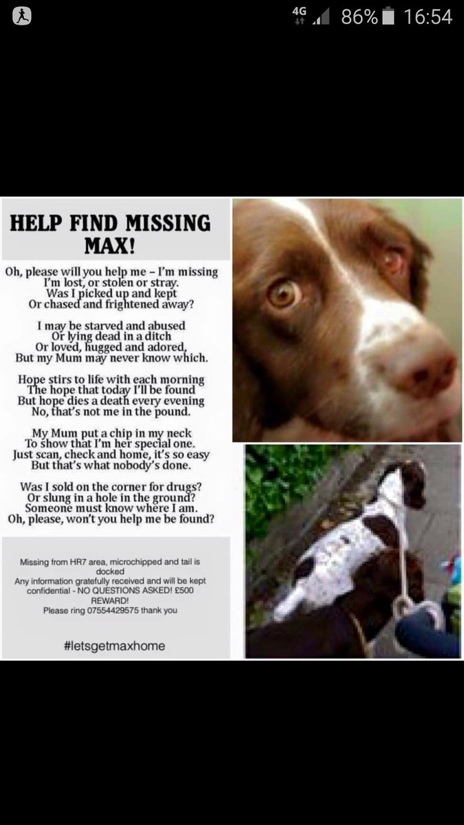letsgetmaxhome's tweet photo. @Lord_Sugar please retweet me..one of your followers may know where I am #letsgetmaxhome https://t.co/ftAOd1qTc6