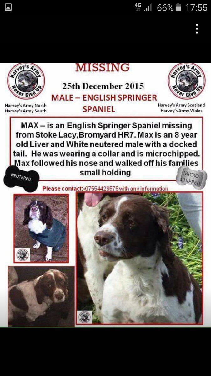 letsgetmaxhome's tweet photo. @Lord_Sugar please retweet me..one of your followers may know where I am #letsgetmaxhome https://t.co/ftAOd1qTc6
