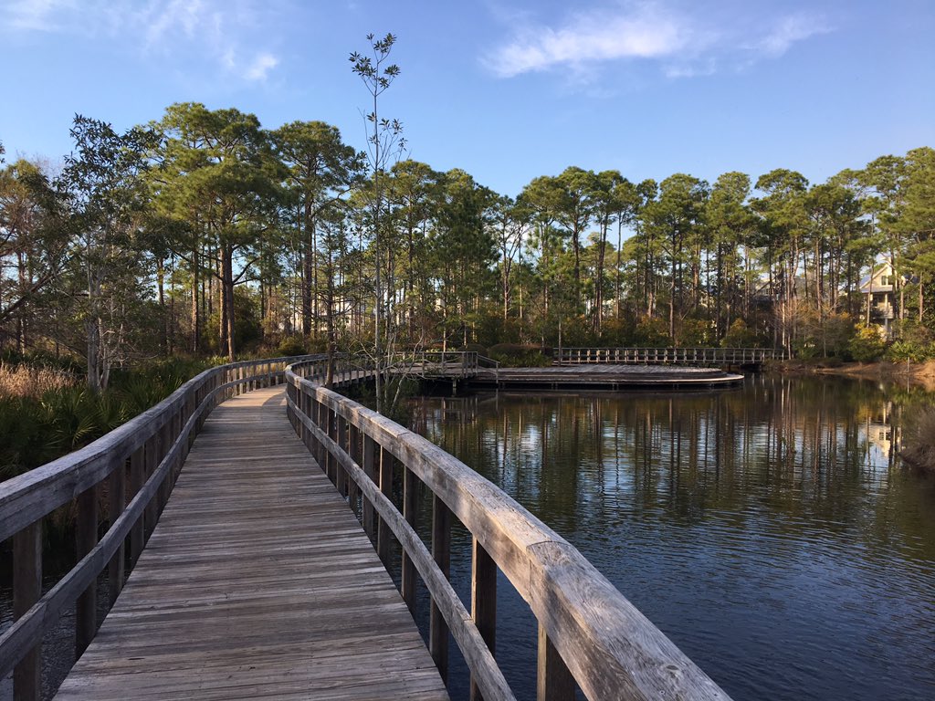 SandestinO's tweet photo. So blessed to live in a place surrounded by phenomenal beauty on and off the beach. #SouthWalton #WaterColorFL #30a https://t.co/dOylcDG6EA