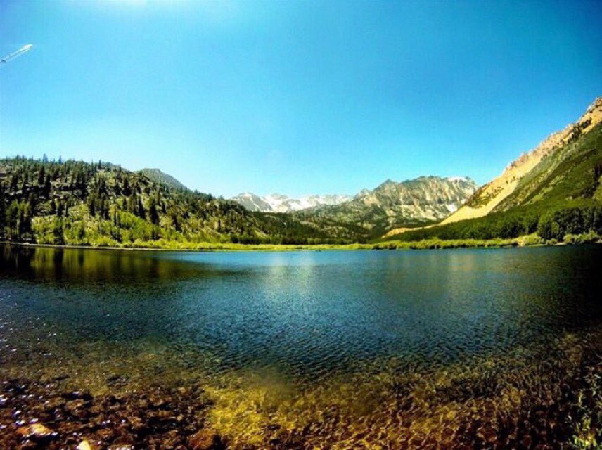 Bellwether Cycling tweet media