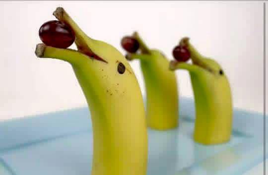 Don,t Forgive Yourself Because You Have A Banana abidurrahman.wordpress.com/2016/01/14/don…