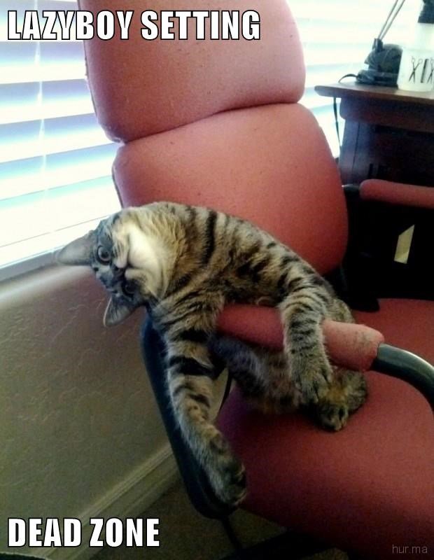 <a href="/tstarka/">Takae Sasaki 🦄</a> <a href="/ARECSANDORA/">Keiko Arex Sasaki</a> @rosequartz0518 <a href="/_claudiaw/">Claudia ⚘️</a>  
 Good afternoon and good evening ladies!