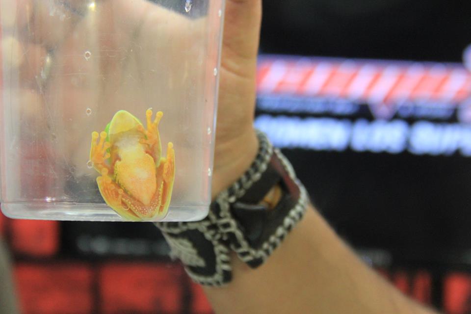 Mascota TV tweet media