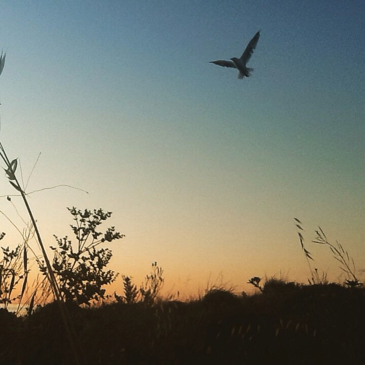 deedeehers's tweet photo. #novaissummer #saweekendsummer #pthughes https://t.co/Q6Z2CxGx6m