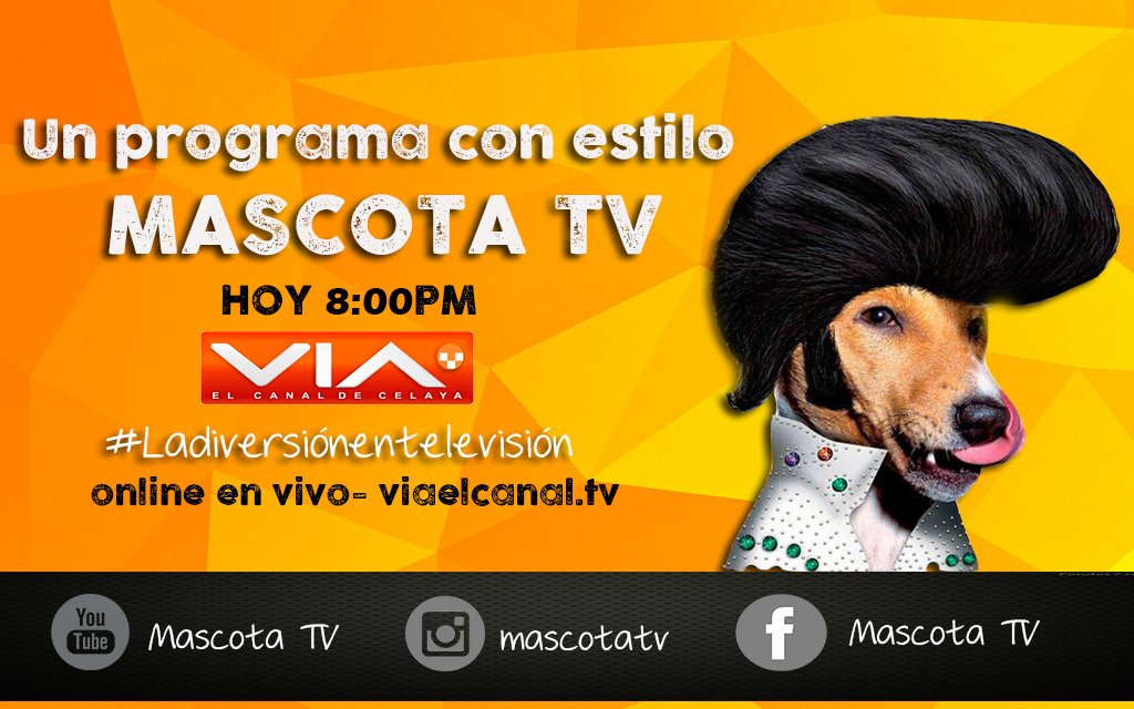 Mascota TV tweet media