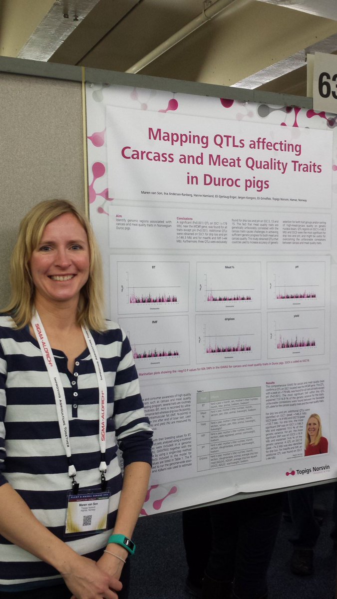 Eli Grindflek tweet media