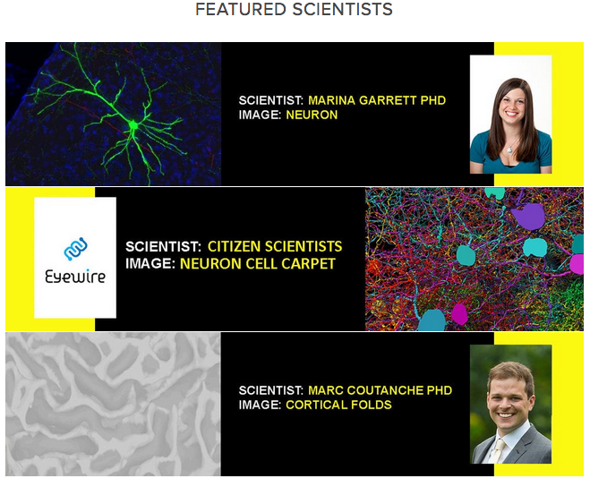 CerebellaDesign's tweet photo. Our new collection Celebrating Brains features @mcoutan @eye_wire &amp; @matchings https://t.co/brr0P5XumE #neuroscience https://t.co/YkkZLGe1Kx