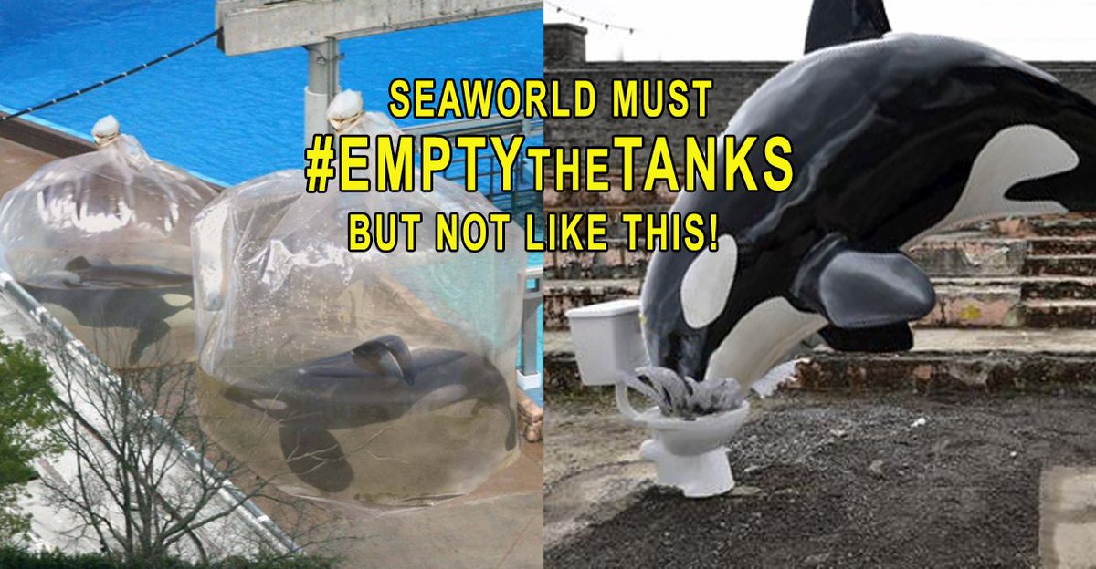 Why did #Seaworld take 27mins to call 911 for Dawn?
Couldn't flush their cash-cow #BLACKFISH
bit.ly/RP0cCO
