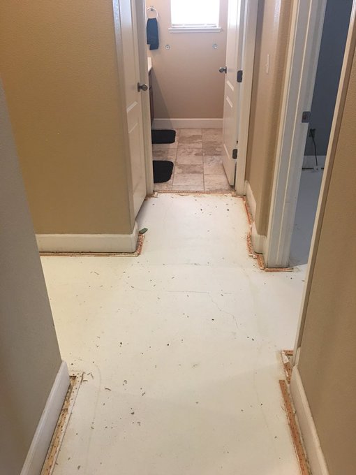 Goodbye old floors. All new everything is in progress. https://t.co/7lJmOW5lPm<a href="/tag/iwin"class="tags"><span>#iwin</span></a><a href="/tag/cadibitch"class="tags"><span>#cadibitch</span></a><a href="/tag/cadibitchesporvida"class="tags"><span>#cadibitchesporvida</span></a>
