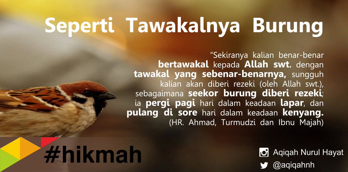 aqiqahnh's tweet photo. #SemangatPagi #Menjemput #Rezeki https://t.co/rFO1PklnSW