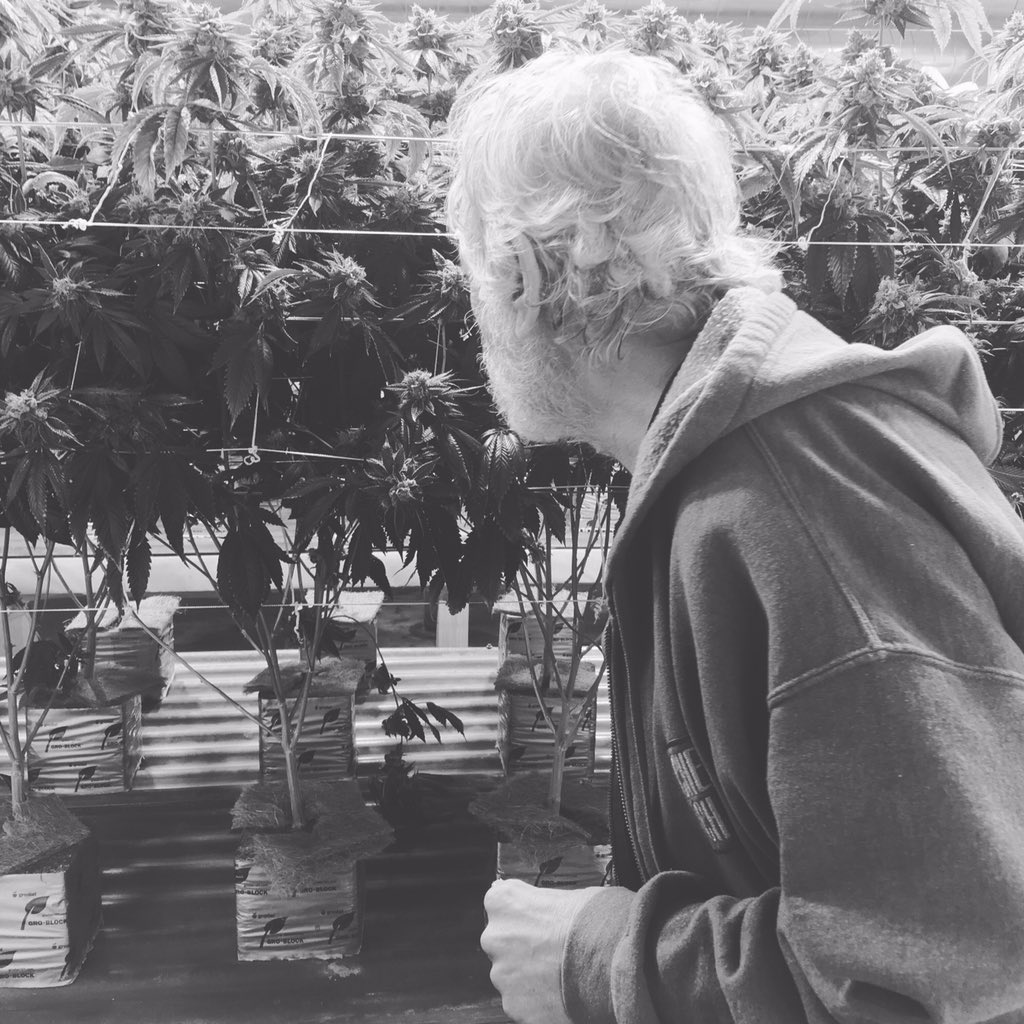 chongschoice's tweet photo. Mmm mm good.  #ChongsChoice https://t.co/kmIbkBpfRe