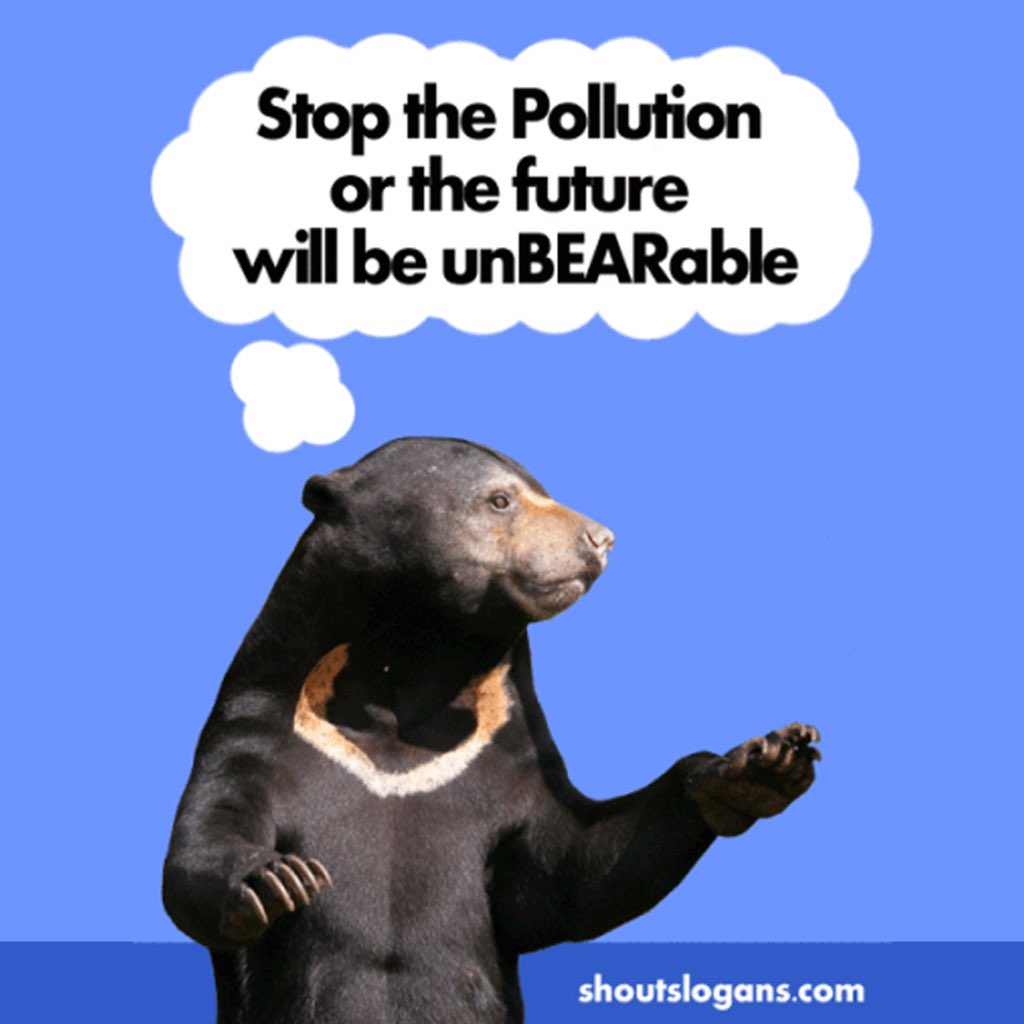Generasi3R's tweet photo. Stop the pollution or the future will be unBEARable. Sources : https://t.co/csvxzAYyLz
#environmentalprotection #G3R https://t.co/NmkBe603Q4