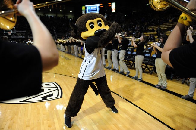 adamcm777's tweet image. Hope you got your nap in today #BuffsNation... CU set to host Oregon St. with 9 pm tip here at Coors Events Center.