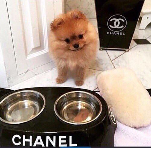 How do you picture your future?

Me: