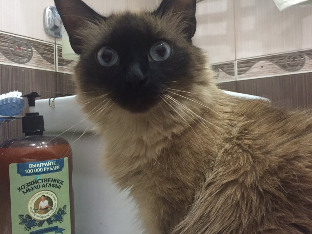 010_don's tweet image. Она видит демонов!