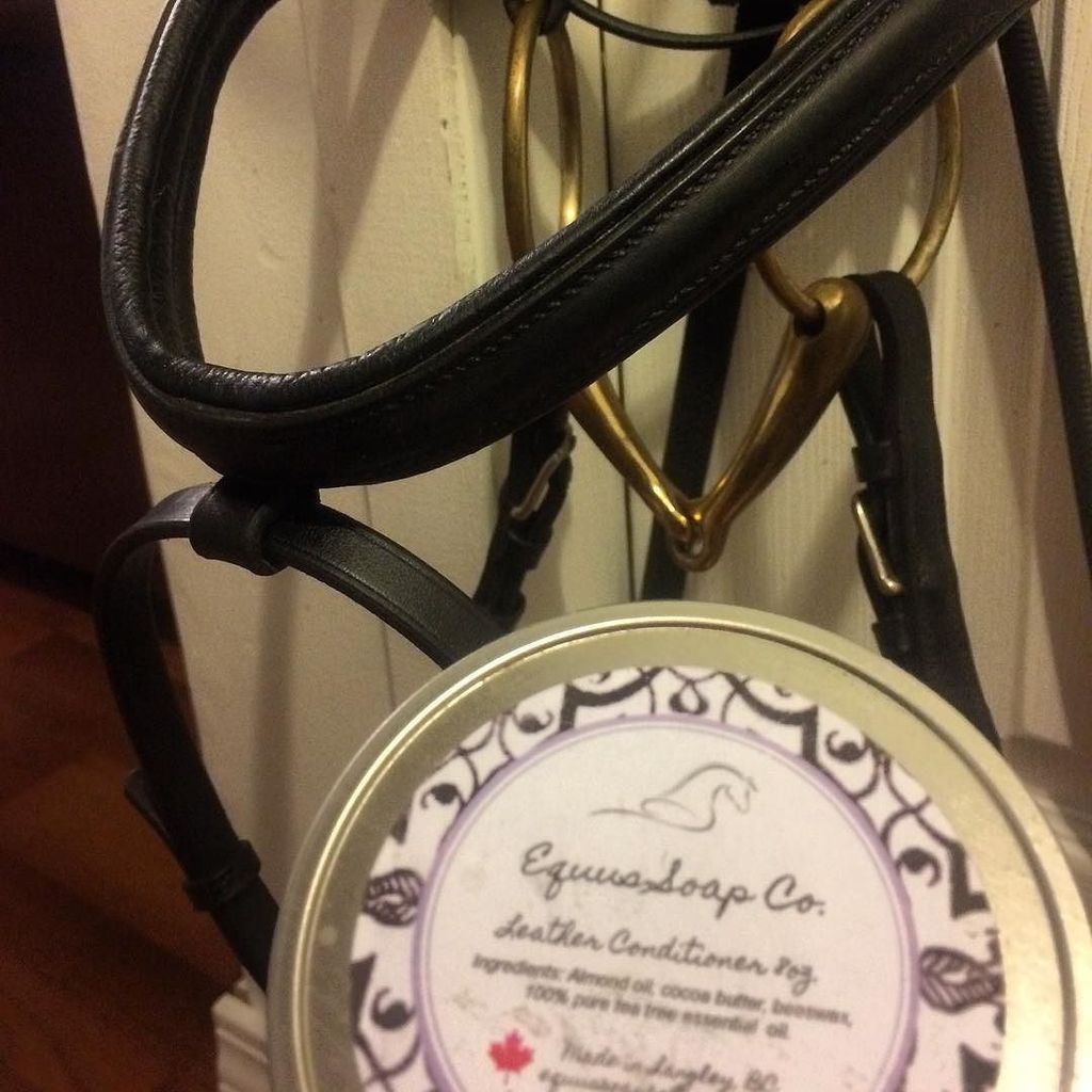 EQPpics's tweet photo. Post by dressageanddogs: Wylie's bridle is clinic ready 😍 #jeremysteinberg #dressage #equestrian @equussoapco #sadd… https://t.co/7cHG7lynxX