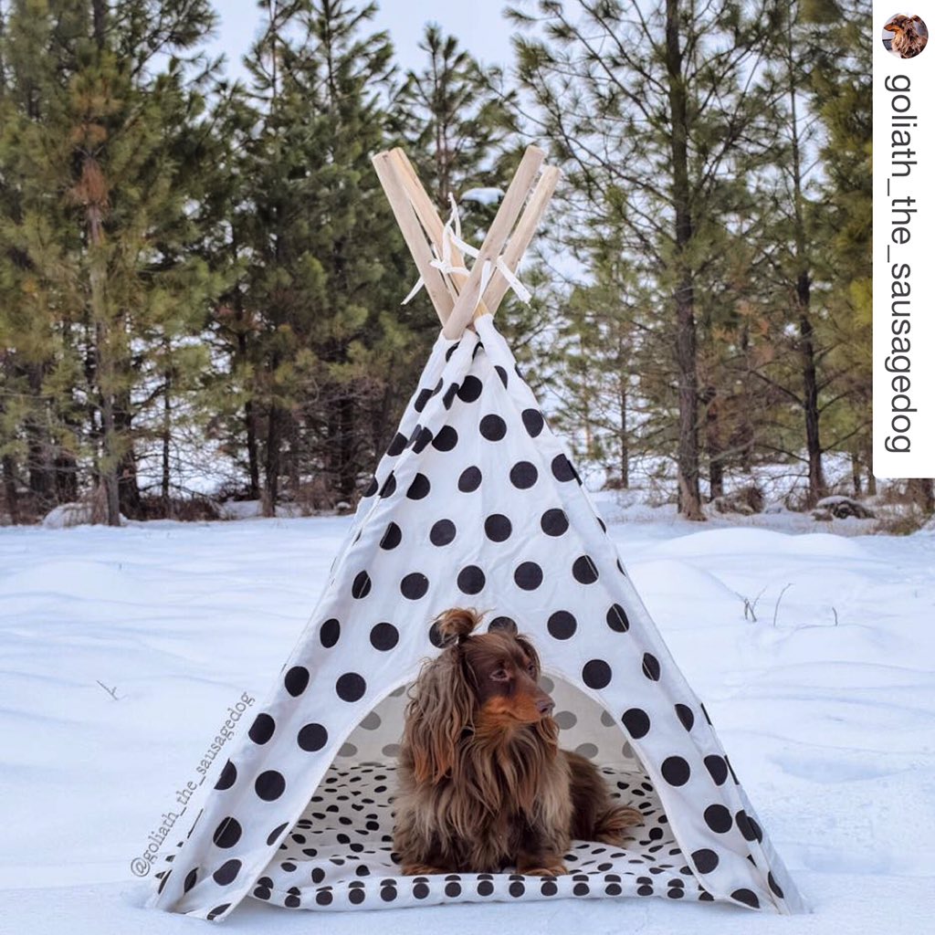pipolli teepee