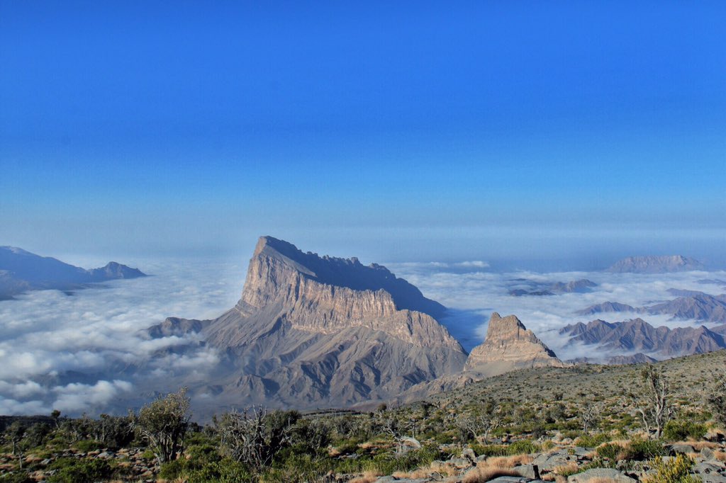 تغريدة خارج السطر..
جبل المشط يبرز من فوق هام السحاب بوادي الهجر..

عدسة عبدالله العبري