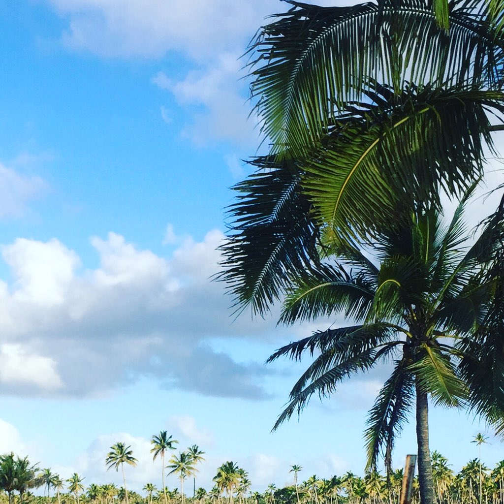 LMSekonaVimahi's tweet photo. Hope you are all having a restful week #Tonga #FriendlyIslands #PacificKingdom https://t.co/jVRbiC6qt9