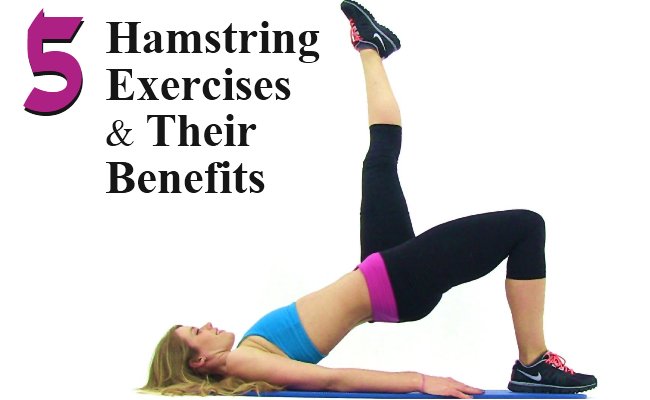 bodybuilderhub's tweet image. 5 Hamstring Exercises And Their Benefits 
bodybuildingestore.com/5-hamstring-ex…
#workouts #hamstringexercises #exercise