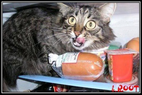 Порошенко внес на рассмотрение Рады пакет "безвизовых законопроектов" - Цензор.НЕТ 3950