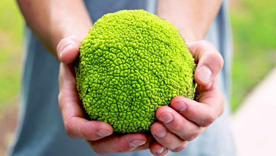 OrganicLifeMag's tweet image. How a farming town in Iowa is bouncing back thanks to this #beauty trend: spr.ly/6015BXVnH #naturesolutions