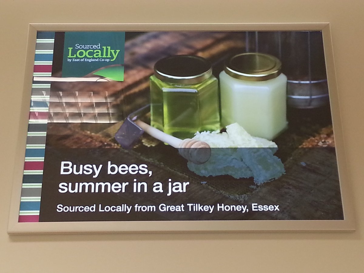 Great Tilkey Honey tweet media