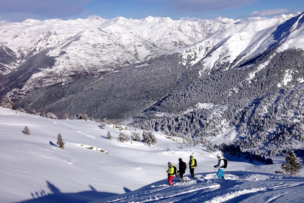 juan carlos solanas tweet media