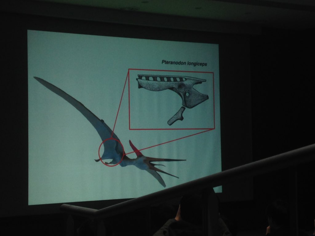 서대문자연사박물관 올해의 첫 과학강연. '공룡열전'의 저자 박진영 선생님의 강연.