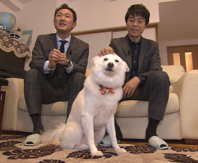上川隆也の愛犬ノワールに黒柳徹子も仰天 ペットとの出会いは譲渡会だった いぬいぬどっとこむ