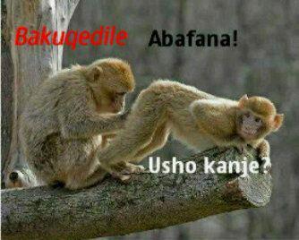 mpedulo3's tweet image. 