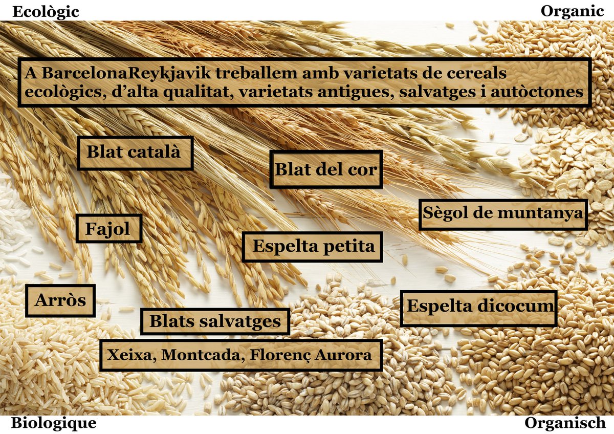 bcnrvk's tweet photo. #slowfood #masamadre #sourdough #bio #eco #organic #paecologic #vegan #barcelona #realbread #levain #lievitomadre https://t.co/h3LIn5pt8u