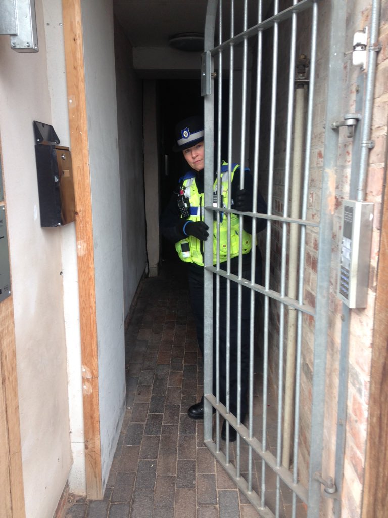 View image on Twitter