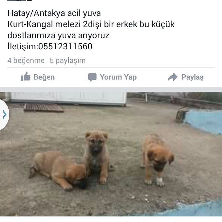 Aysel_sula's tweet photo. Onun Meleği siz olurmusunuz? https://t.co/uSK2d75f1k