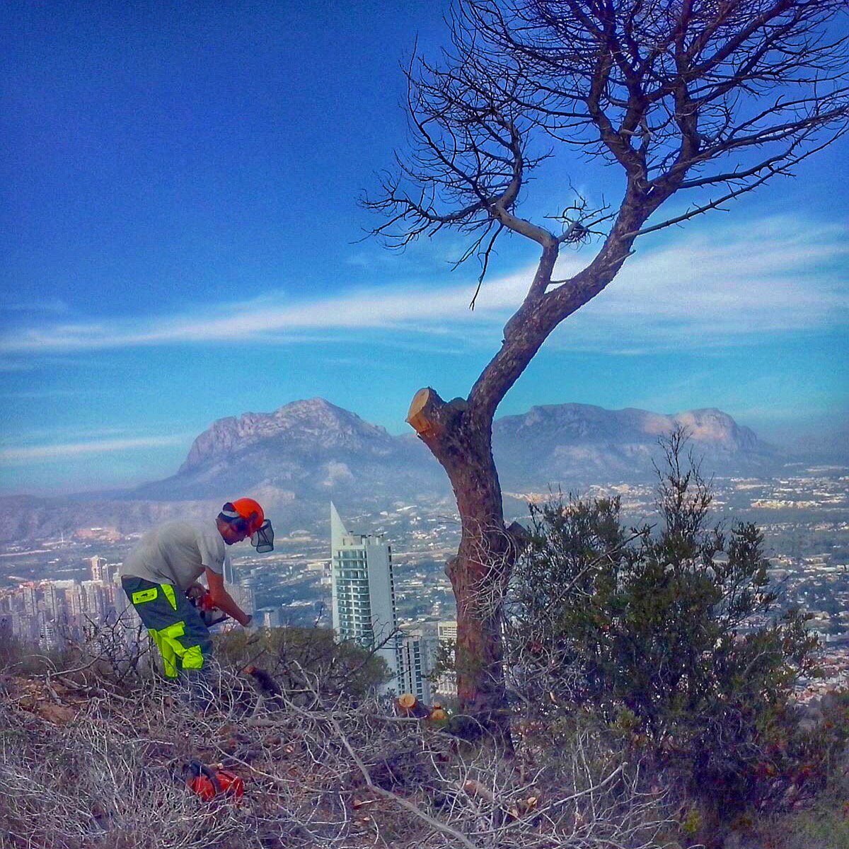 GVAparcs's tweet photo. El Parc Natural #SerraGelada  millora la seguretat (eliminació d'arbres morts) en la ruta groga @LP_LaMarina https://t.co/NMt4TJ3Dfr