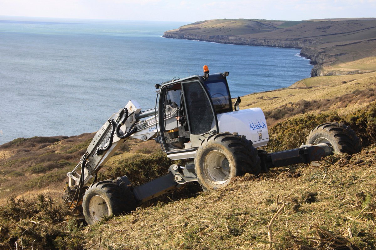 Our Batemag P100 flailing gorse on the Purbeck hills, Dorset