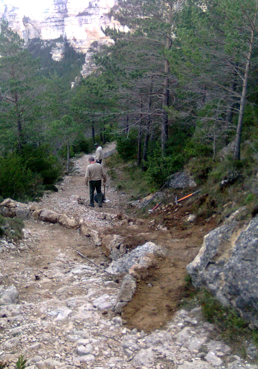 GVAparcs's tweet image. El parc natural de #Tinença treballa en millorar la ruta vermella @OCR_Castellon @epmediterraneo @EPmedioambiente
