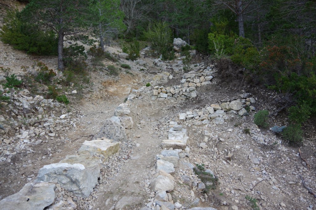 GVAparcs's tweet image. El parc natural de #Tinença treballa en millorar la ruta vermella @OCR_Castellon @epmediterraneo @EPmedioambiente